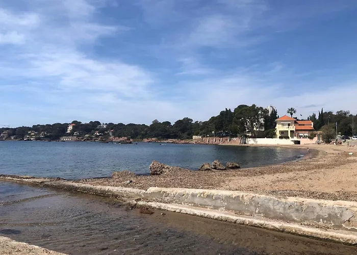 Gecko Saint-Raphaël