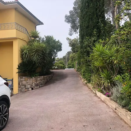 Gecko * Сен-Рафаель