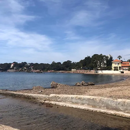 Gecko Сен-Рафаель