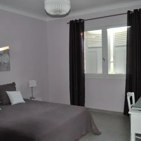 Gecko Appartement