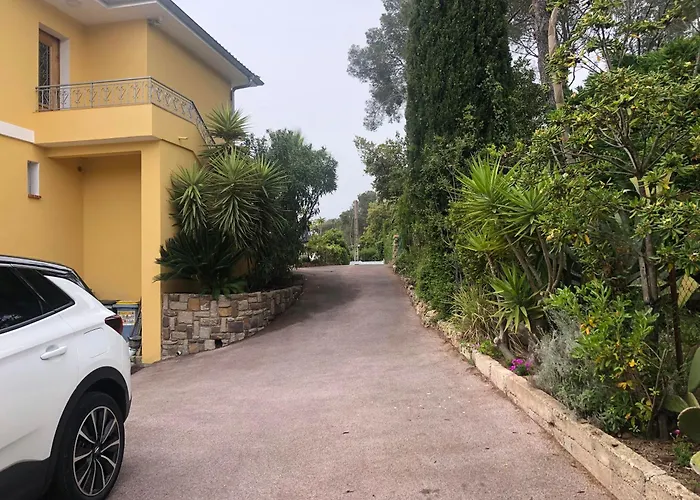 Gecko * Saint-Raphaël