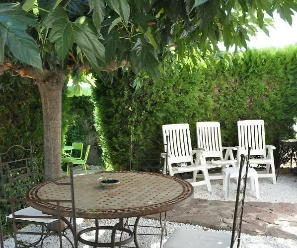 Gecko Saint-Raphaël