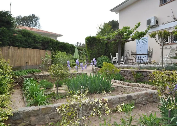 Gecko * Saint-Raphaël